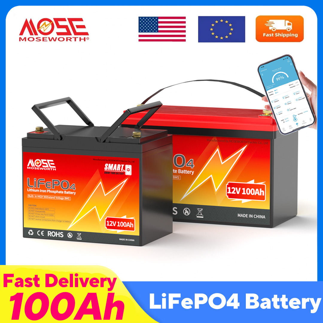 Lifepo4 12V 100Ah Bms Bluetooth - MOSEWORTH LiFePO4 12V 100Ah Paket Baterai