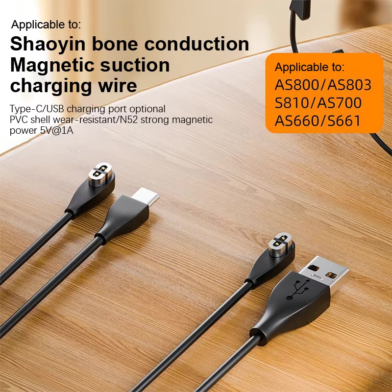 Pengisi Daya Headphone Konduks - Skyrc B6 Neo Smart Charger ulasan dan harga